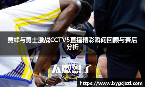 黄蜂与勇士激战CCTV5直播精彩瞬间回顾与赛后分析